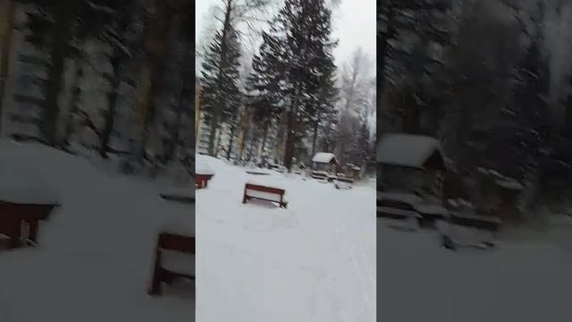VID-20241217-WA0010