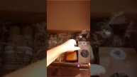 Деревенские подарки #shorts