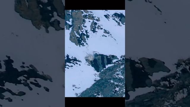 Ирбис