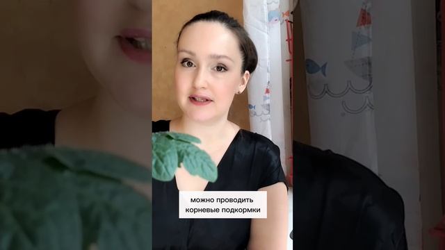Готовы ли вы превратить своего врага в лучшего друга? 🌿💥 #огород #садоводство #борщевик