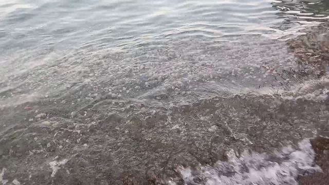 Я в Профессорском уголке на набережной и 🌊 морько 🌊