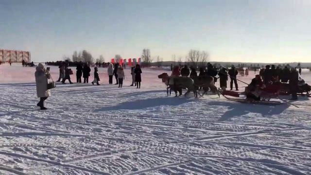 03 Праздник оленеводов 2022 год