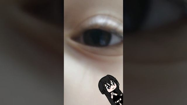 lv_0_20241217205326.mp4