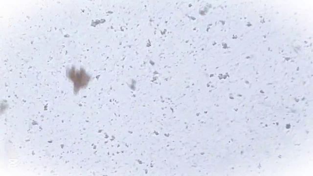 🩵Когда жизнь дает вам снег,❄️ лепите снеговиков🌬☃️⛄️☃️