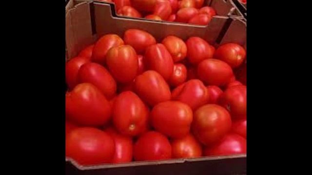 Топ 5 видов вкусных помидоров (по моему мнению)