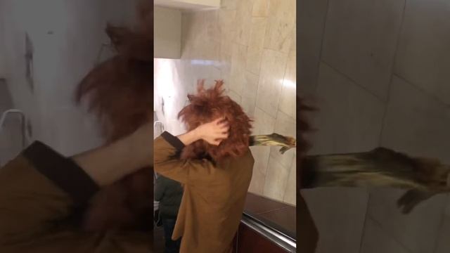 Неандерталец/пещерный человек в метрополитене… #юмор #world #funny #homoerectrus #москва