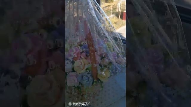 VID_20241216_063926.mp4