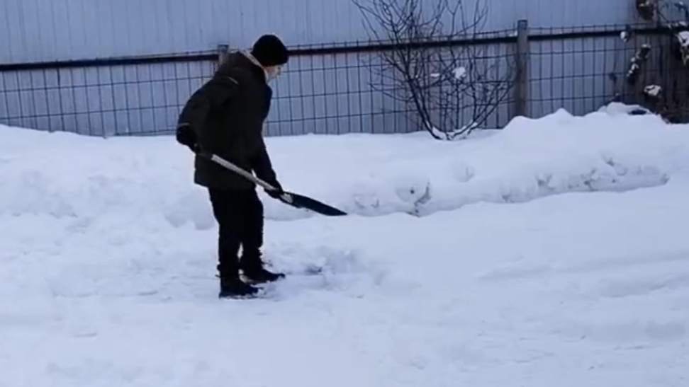 Когда то его я катала на санках, теперь он помощник мой