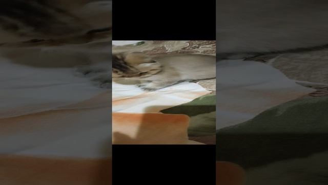 1000059836.mp4