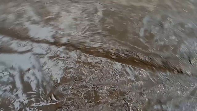Włóczykij Filipek bundeswehr 2005 vs Water Water test German Army boots Bushcraft Passion Forest 🦊🐦