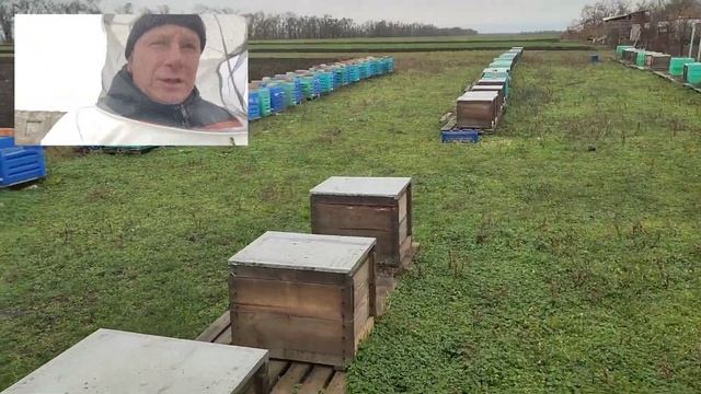✅ Контроль початку зимівлі