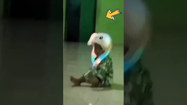 Домовой