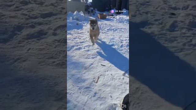 1000282500.mp4