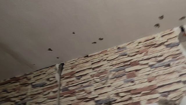 КАК ЗА ДВА ДНЯ ЗАМЕНИТЬ ПРОВОДКУ В КВАРТИРЕ НА МЕДНУЮ своими руками