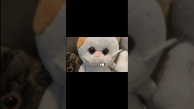 Знакомство с нами 💋💞😘