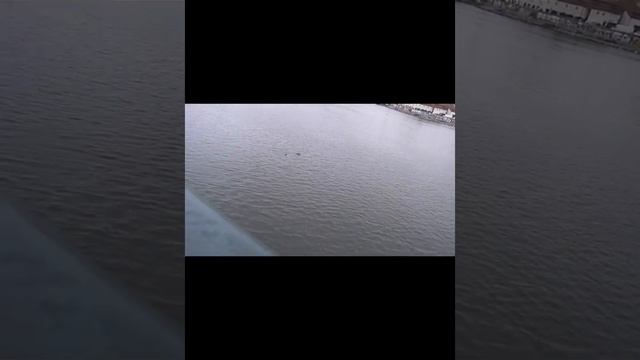 Чехия, Прага. Часть 3. Карлов мост