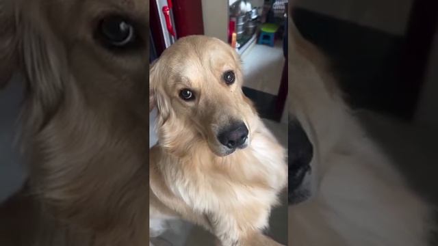 1000013036.mp4