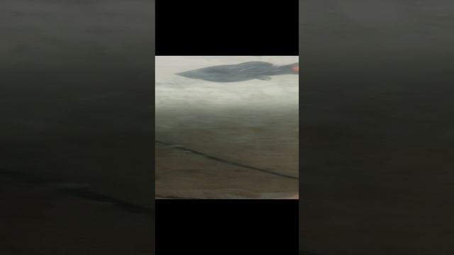 VID_20241217_175404.mp4