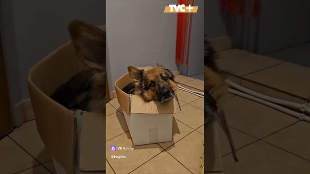 1000015926.mp4