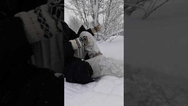 Будь осторожнее во время беременности ⬆️.mp4