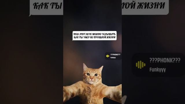 под этот звук можно услышать как ты умер в прошлой жизни🙈