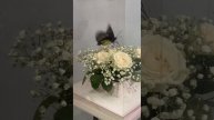 Цветочная композиция с живой тропической бабочкой