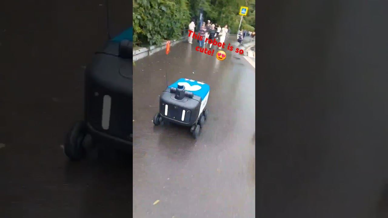 The robot Yandex is so cute!  #cute #robot #deliveryrobot