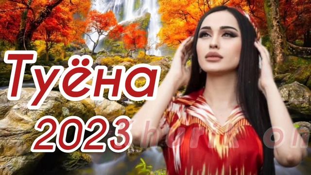 Туёна 2023 /123/ Базми гизала туёна 2023 / Сурудхои ракси 2023 / Базморо 2023 Таджикские песни