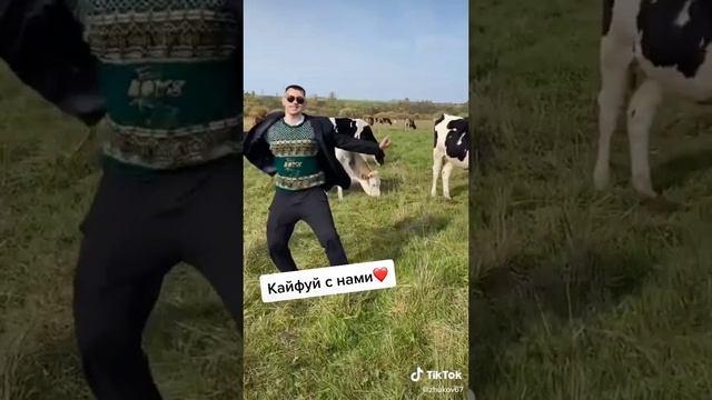 1000004204.mp4