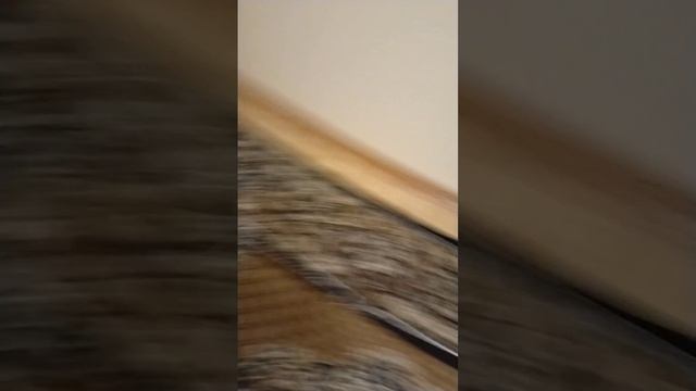 3 часть уборки в комнате