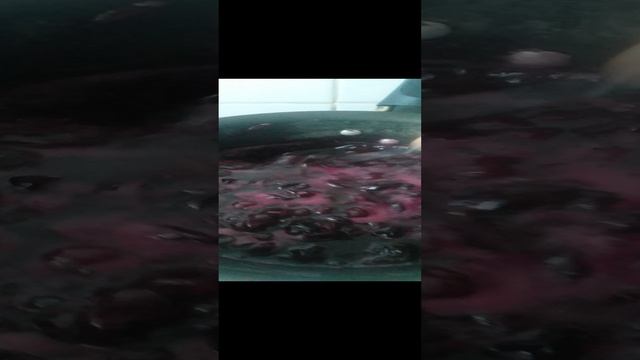 VID_20241217_090404.mp4