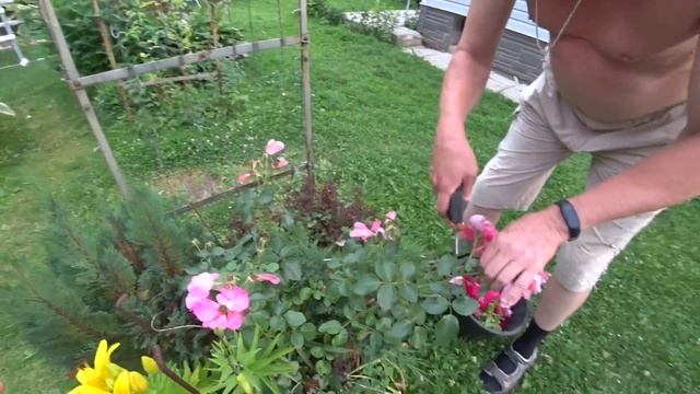 ВЛОГ Грибной суп из маслят /Длинный , интересный день закончился :((( 16 июля 2018 г.