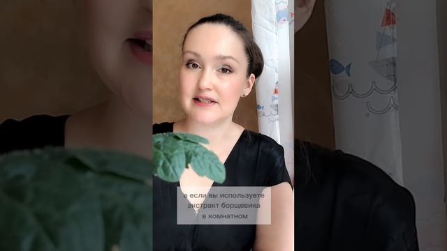 🌿💥 Борщевик: универсальное оружие для сада! 🌱🔥 #огород #биопрепарат  #экстрактБорщевика