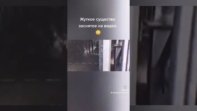очень страшно 😨 😬