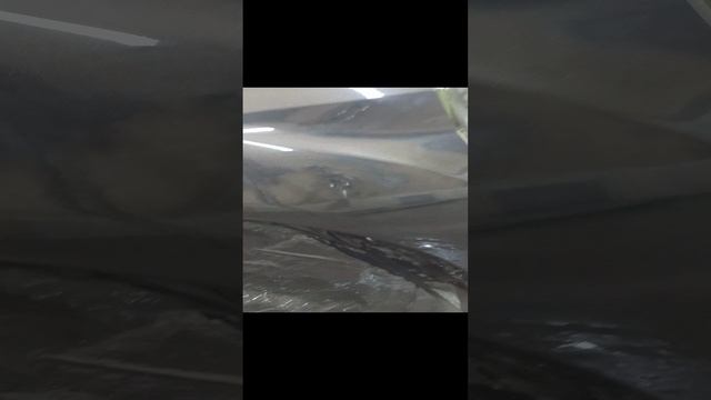 1000036687.mp4