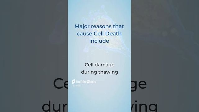 Factors that can Contribute to Cell Death #primarycells #cellculture #research