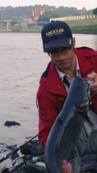 Тот момент, когда тащит РЫБА ТЕБЯ, а не ты рыбу… СОМ на ВОБЛЕР удивил! #сом #спиннинг #воблеры