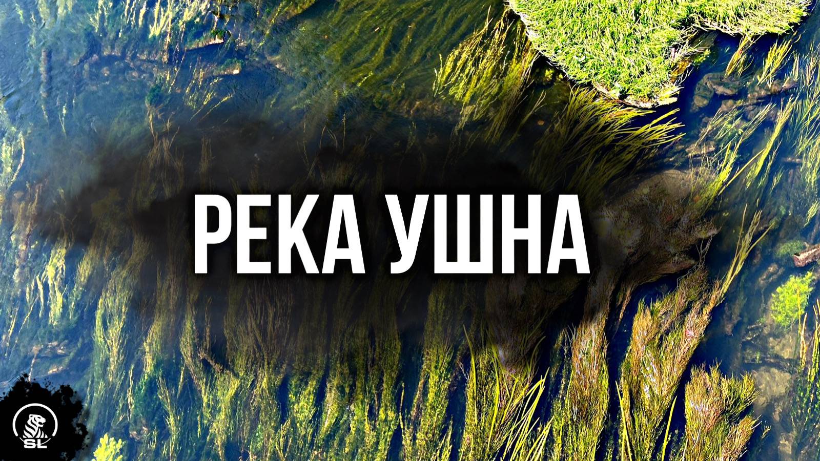 Река Ушна