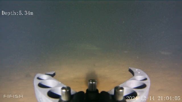 Курчатовский залив, в подпоре. 14.12.2024