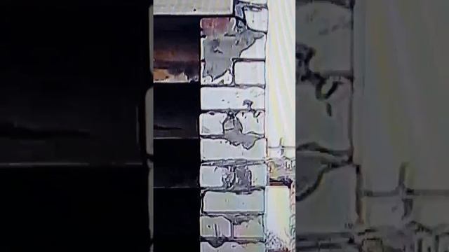1000009296.mp4