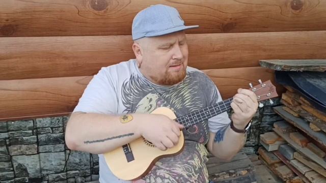 Roobanok - Полуночный Экспресс (live ukulele version)