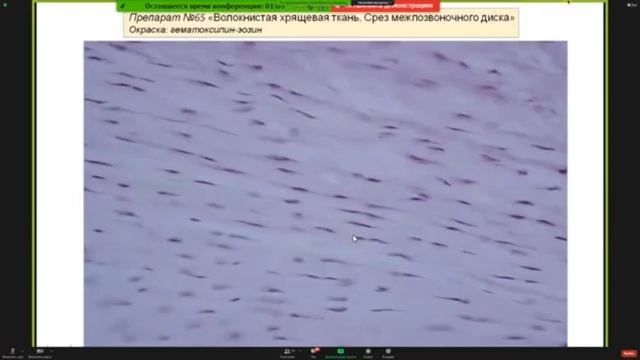 Консультация к 2 коллоквиуму.ч.2. | Кутукова К.А