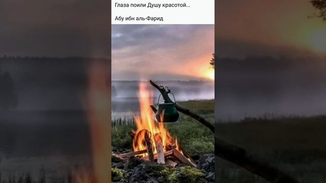 Красота