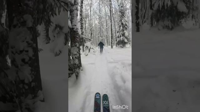 Покатушки на лыжах