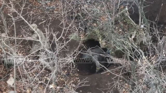 Бойцы группировки 'Восток' берут пленных Всу в районе н.п. Великая Новоселка 💥🇷🇺👊