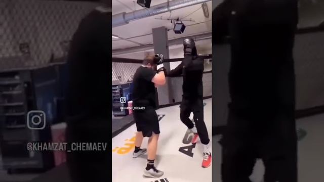 Чемпион