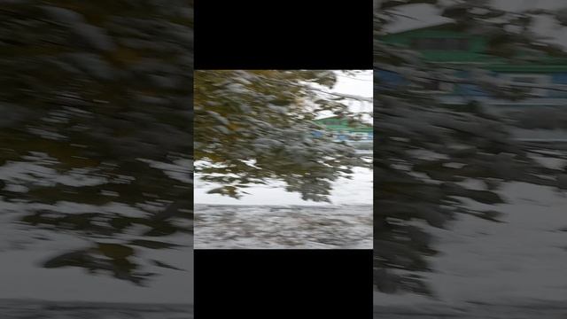 1000037206.mp4