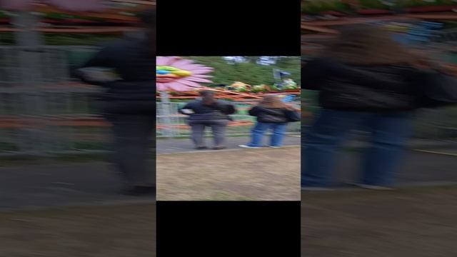 VID_20241005_172151.mp4