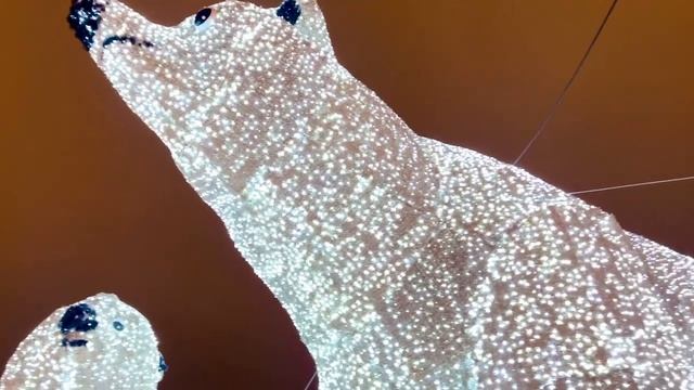 Ростокинские белые мишки