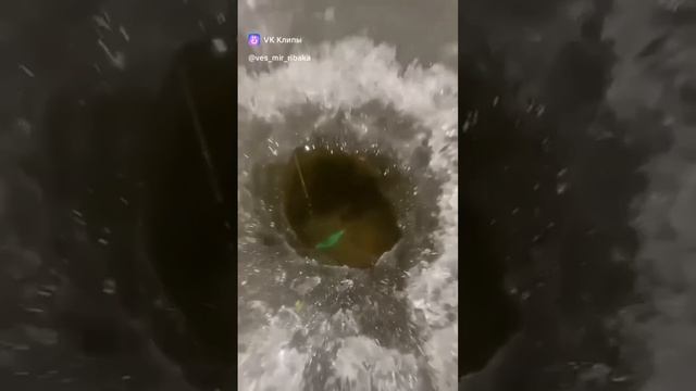 как то раз на рыбалке